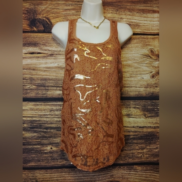 BKE Tops - BKE Boutique Sequin Lace Tank Top Size Small!